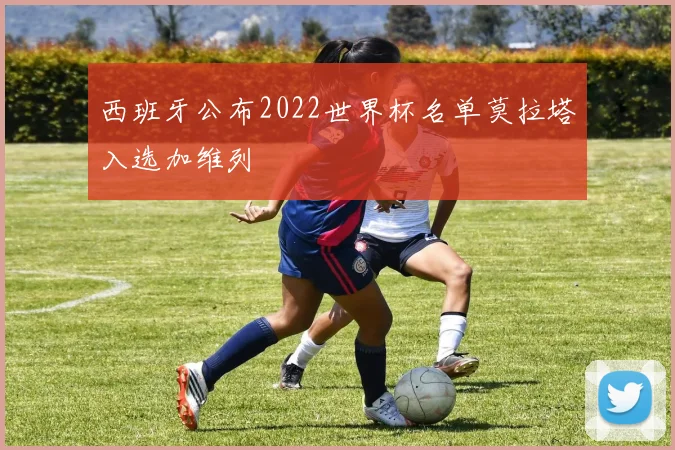 西班牙公布2022世界杯名单莫拉塔入选加维列