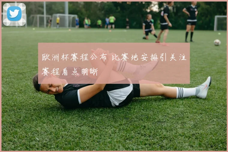 欧洲杯赛程公布 比赛地安排引关注赛程看点明晰